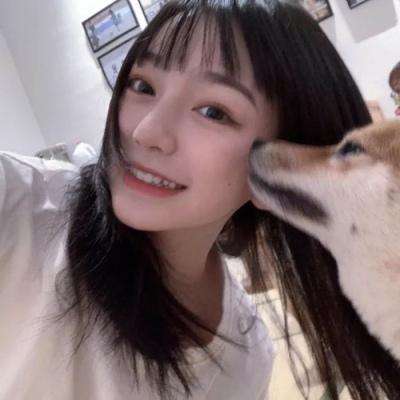 点点骑士果盘版下载